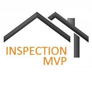 inspection mvp
